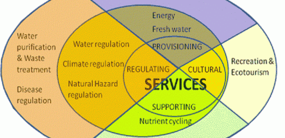 Ecosystem-Services