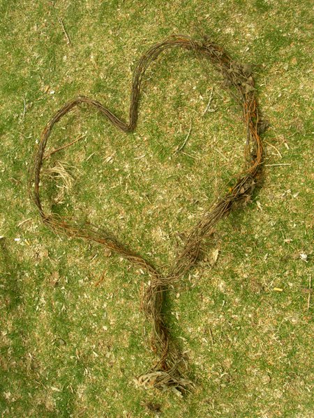 Wire heart by Royce Carlson. Wire retrieved from Granite Creek during Cleanup event.
